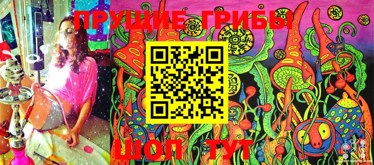 Донской  что такое   Вход с VPN  Псилоцибиновые грибы Psilocybe 
