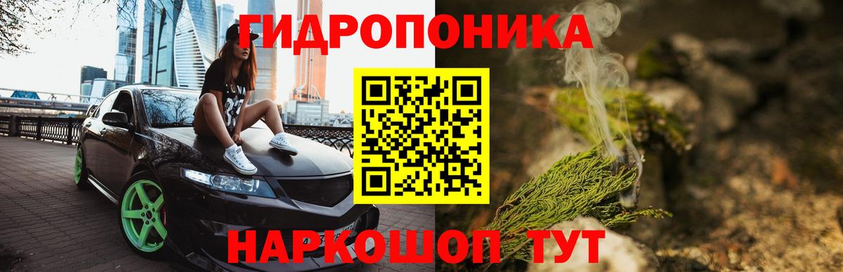 Каннабис планчик  Вход с VPN  Донской  Канабис тримм 